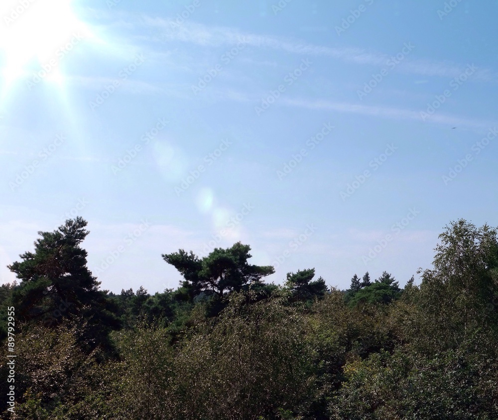 Obraz premium Blick über die Haard Landschaft