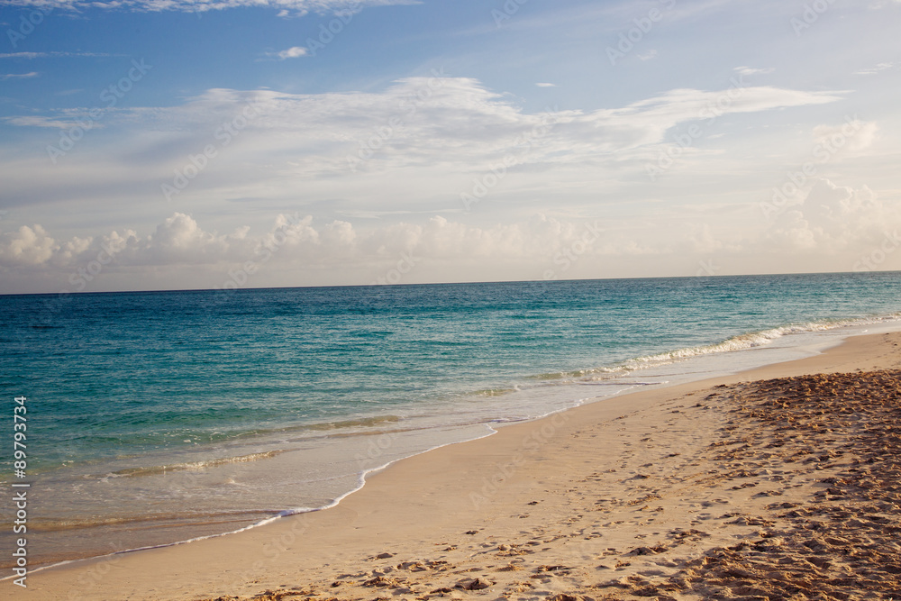 Fototapeta premium Beautiful Beach Shore