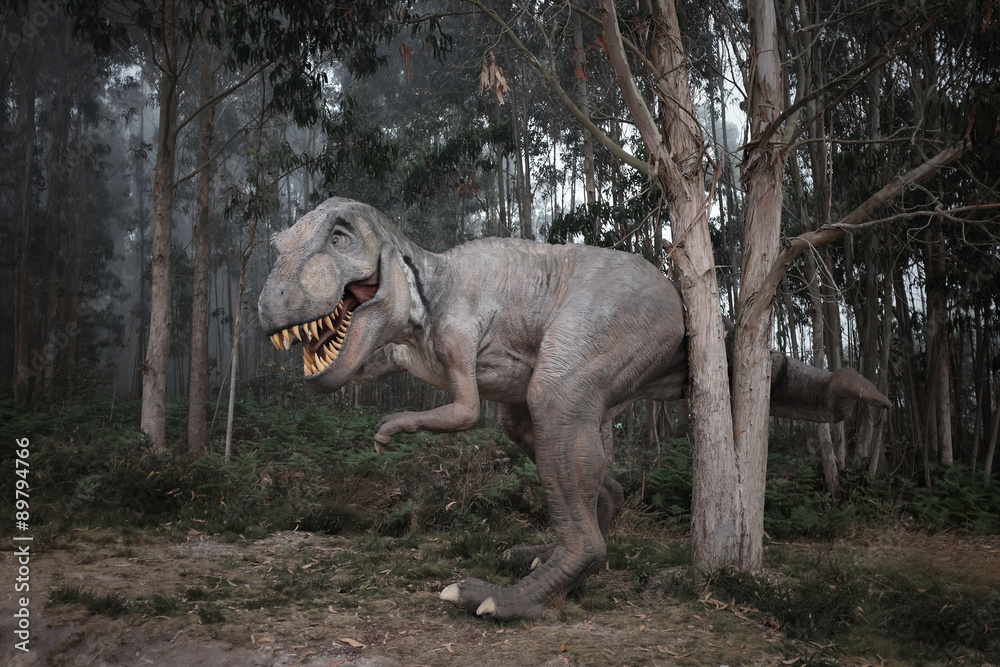 Naklejka premium T. Rex (T-Rex) im Nebel