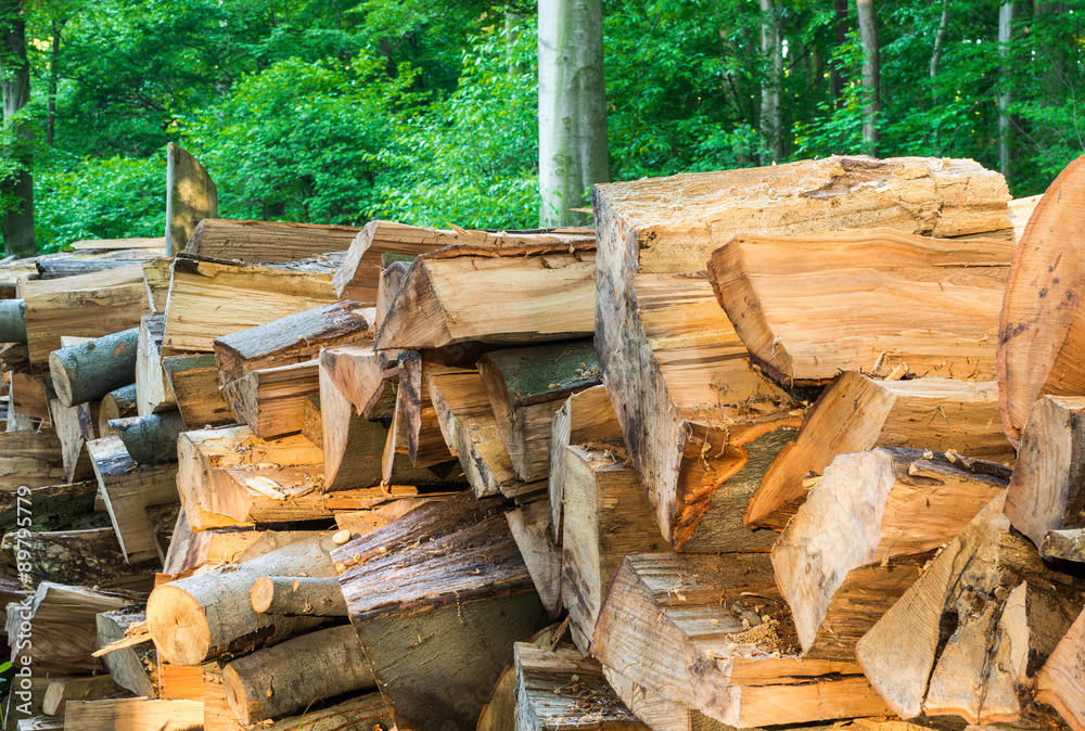 pile of wood trunks stored in a forest pile of wood trunks stored in a forest