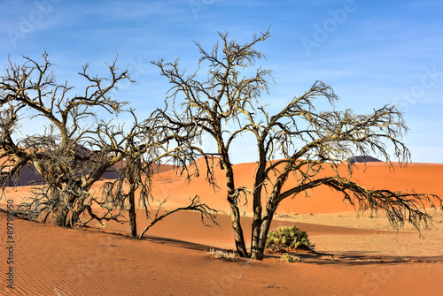 Hidden Vlei, Namibia © demerzel21