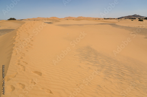 Sahara desert landscape with blue sky. Dunes background.