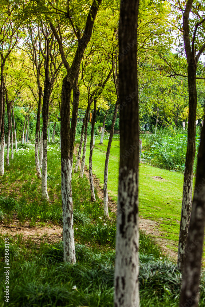 Obraz premium Park in Jiangyin