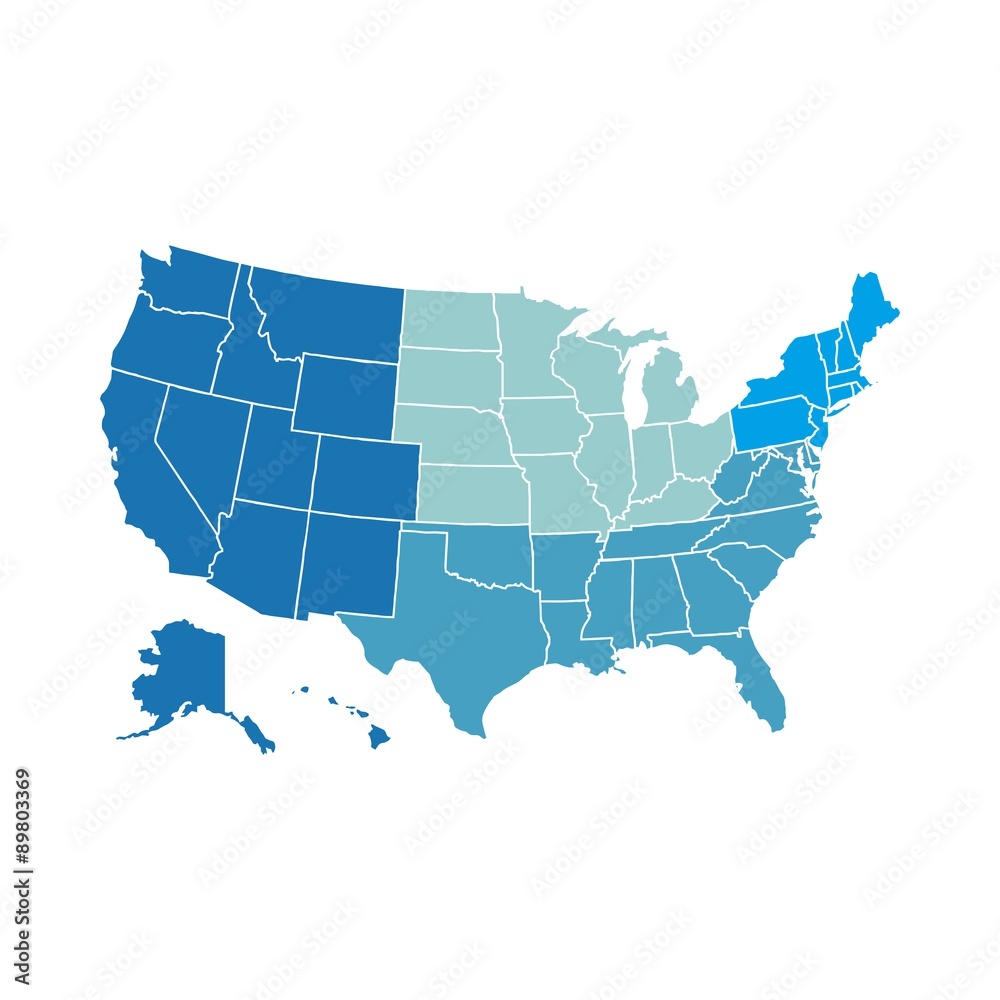 Obraz premium USA Regional map