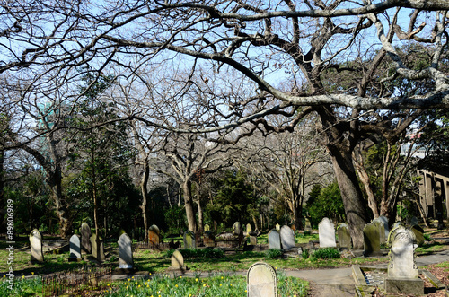 Symonds Street Cemetery in Auckland New Zealand