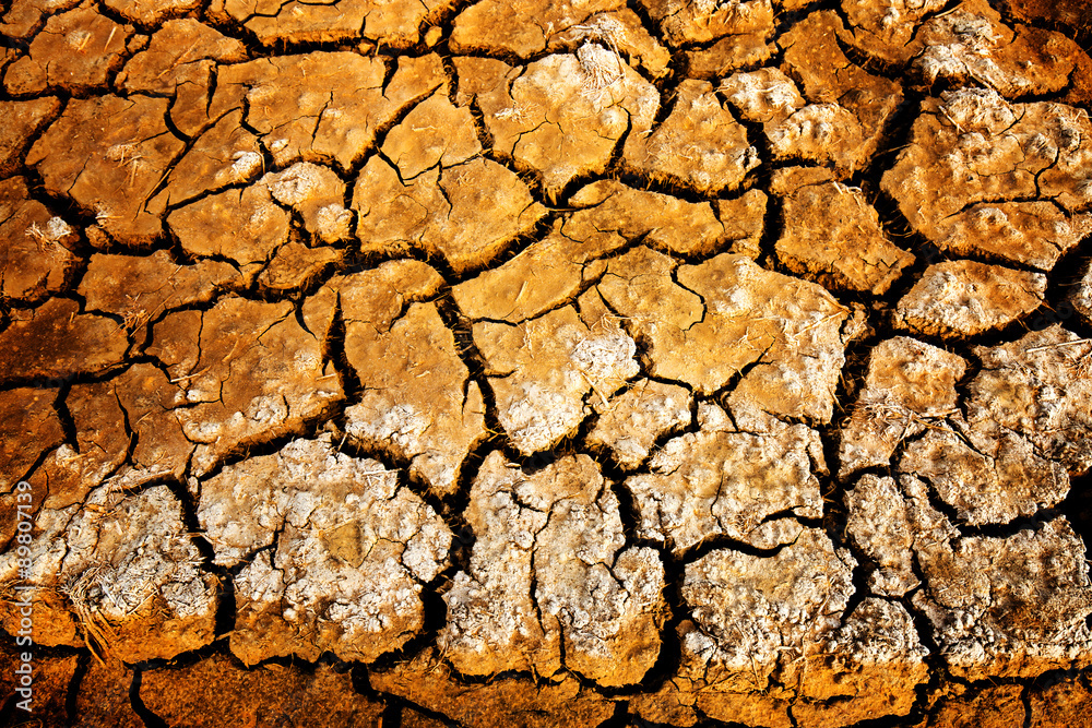 Land with dry and cracked ground.