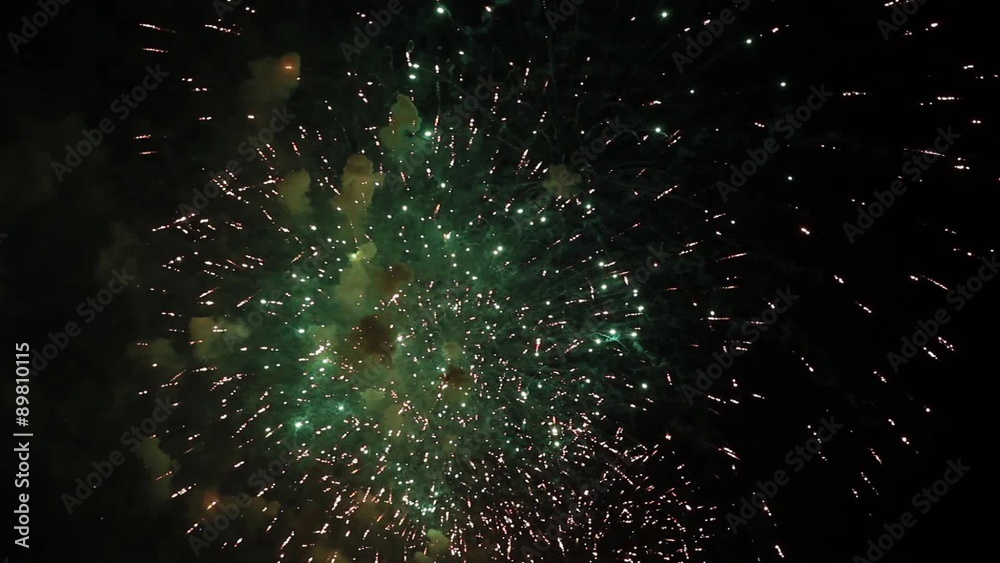 Firework pyrotechnic show Firework pyrotechnic show