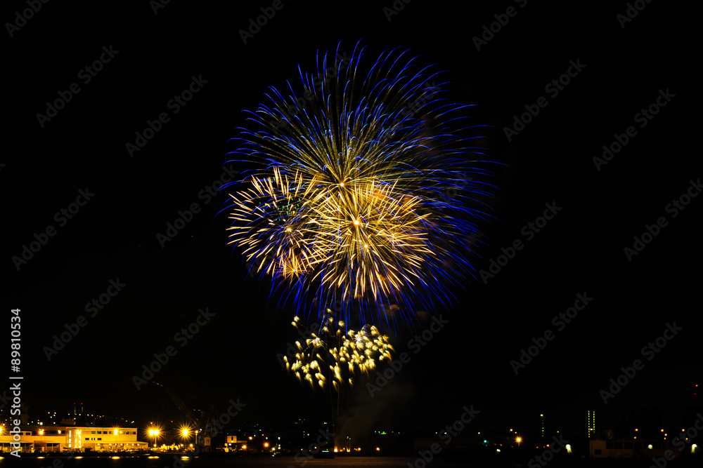 Colorful fireworks against a black night sky.