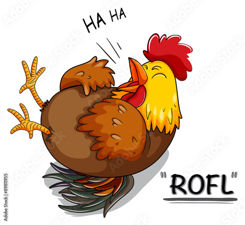 Chicken laughing on white