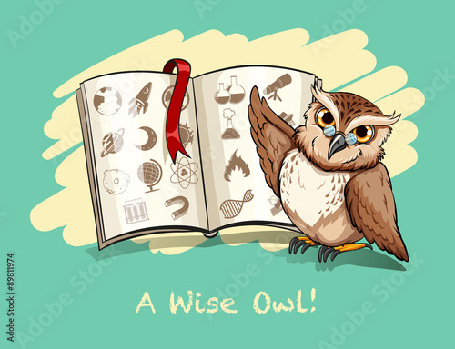 Photography Idiom a wise owl