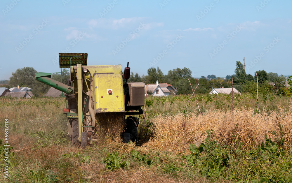 Fototapeta premium combine harvester working on a oat field