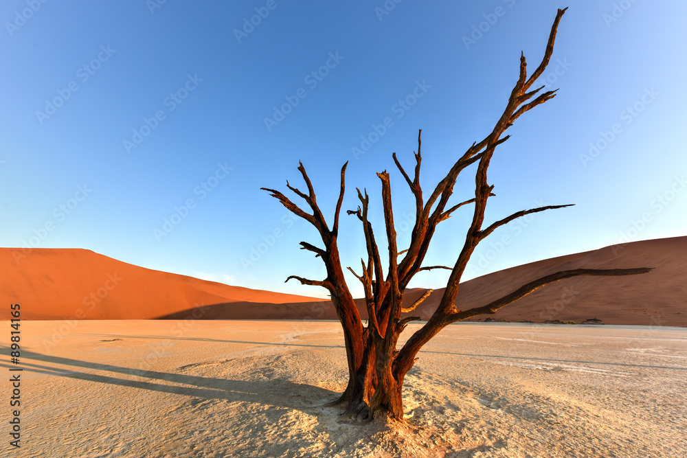 Dead Vlei, Namibia