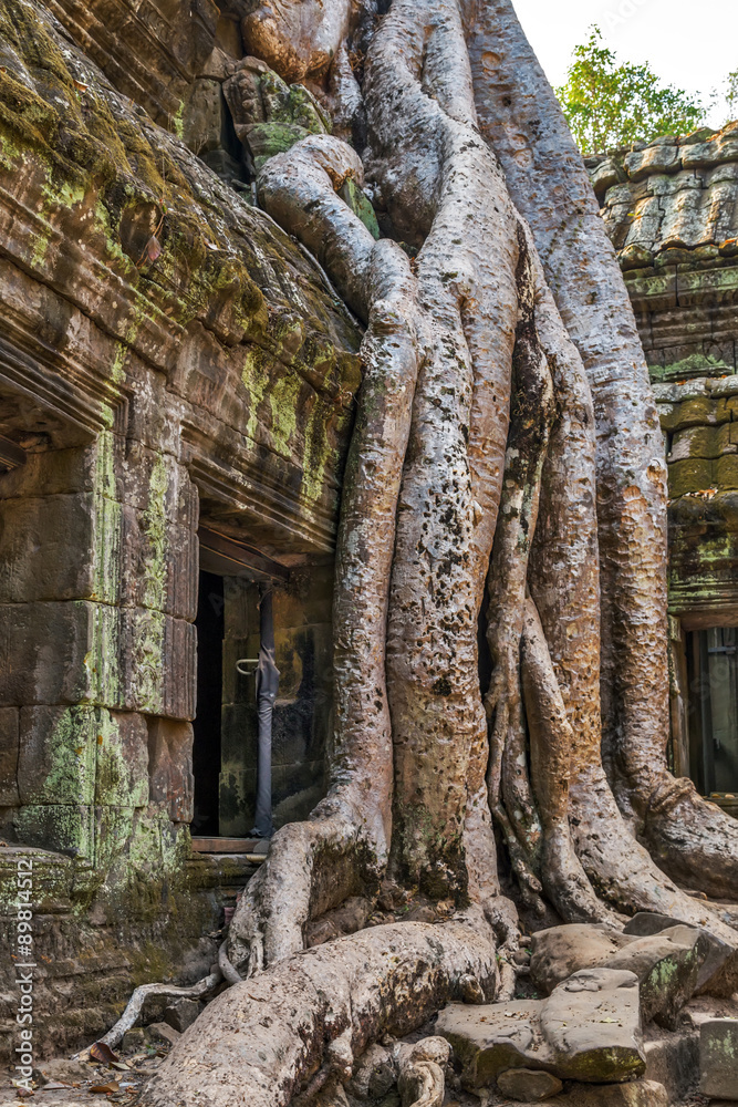 temple Siem Reap, Cambodia.