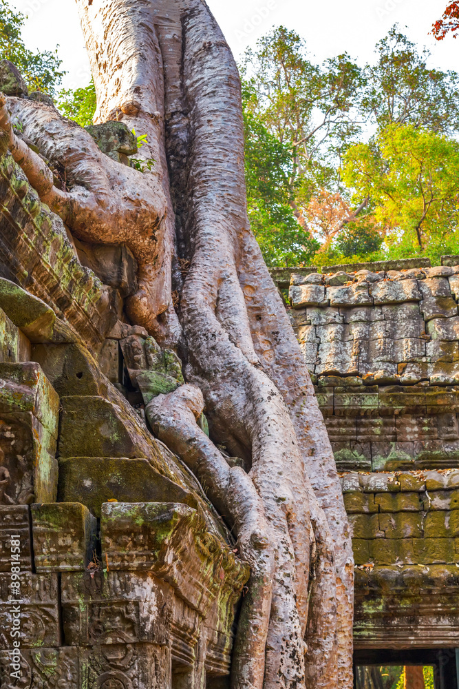 Angkor Wat, Siem Reap, Cambodia.