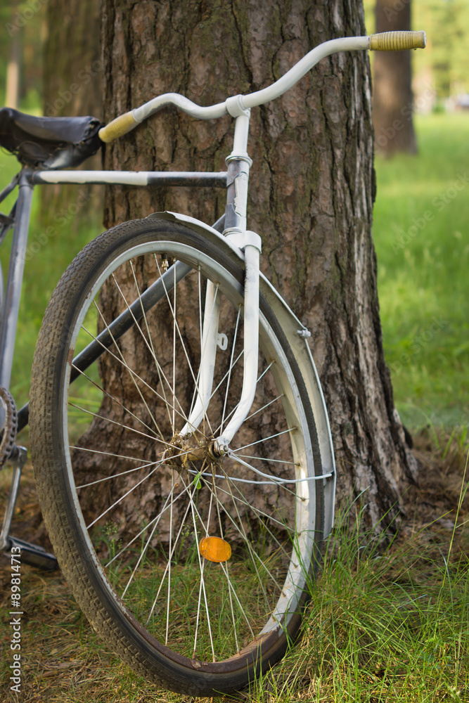 Fototapeta premium Vintage bicycle in the forest