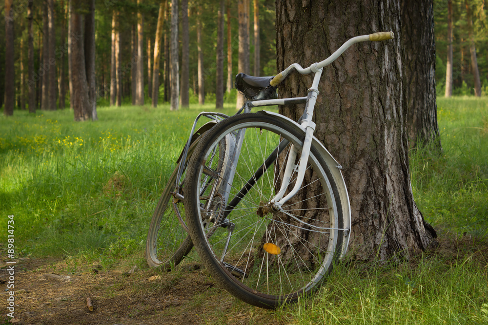 Vintage bicycle in the forest
