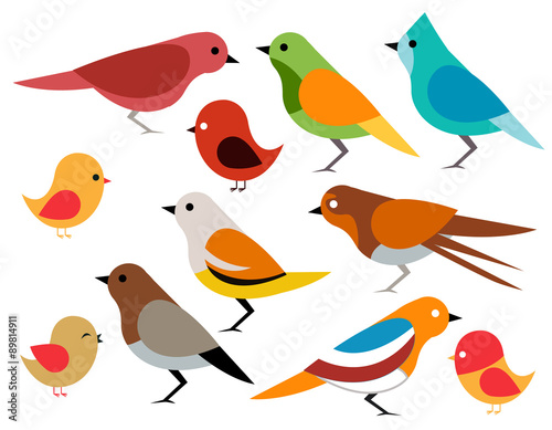 Set of different birds