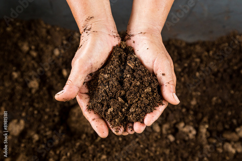 close up hand holding soil peat moss photo
