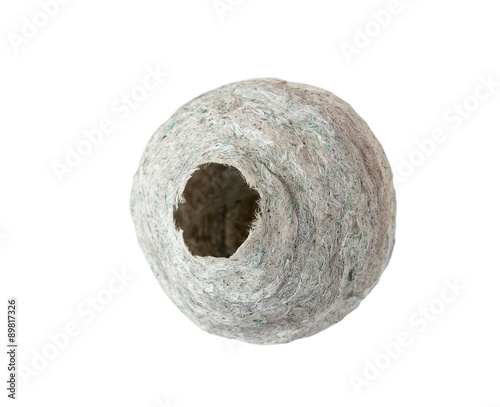 Принти на полотні Nest of paper wasp