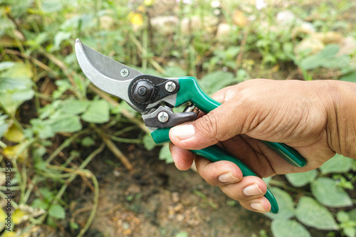 secateurs on hand