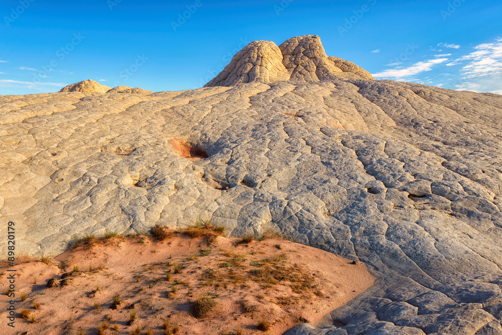 Obraz premium Plateau from white and red sandstone, White Pocket. The area on the Paria Plateau in Northern Arizona, USA
