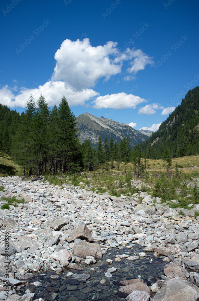 Mountain scene with river and trees on a sunny day Mountain scene with river and trees on a sunny day