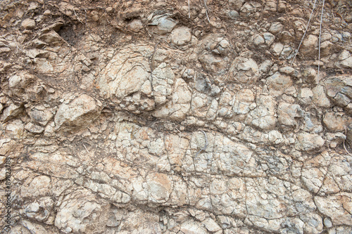 Texture from old coquina (limestone) brown wall