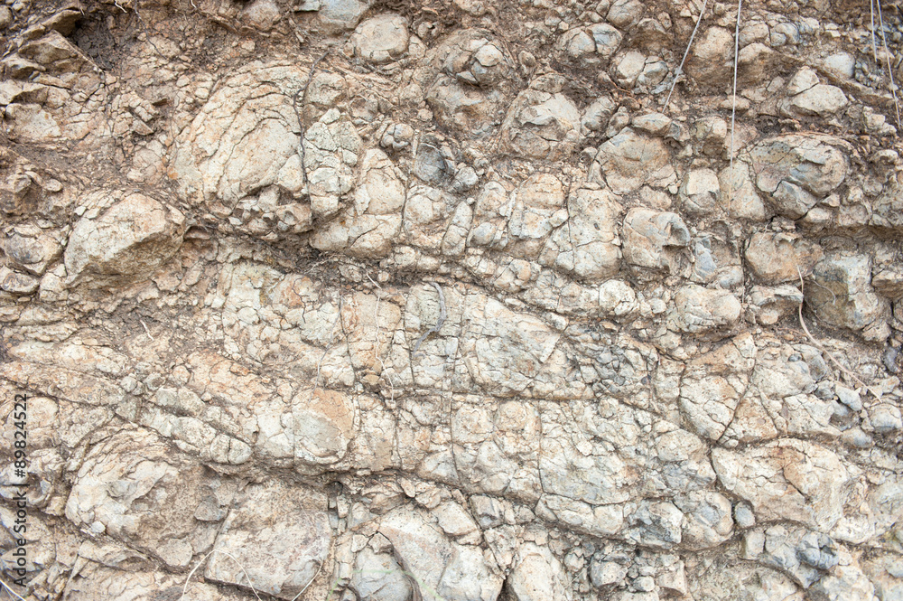 Texture from old coquina (limestone) brown wall Texture from old coquina (limestone) brown wall