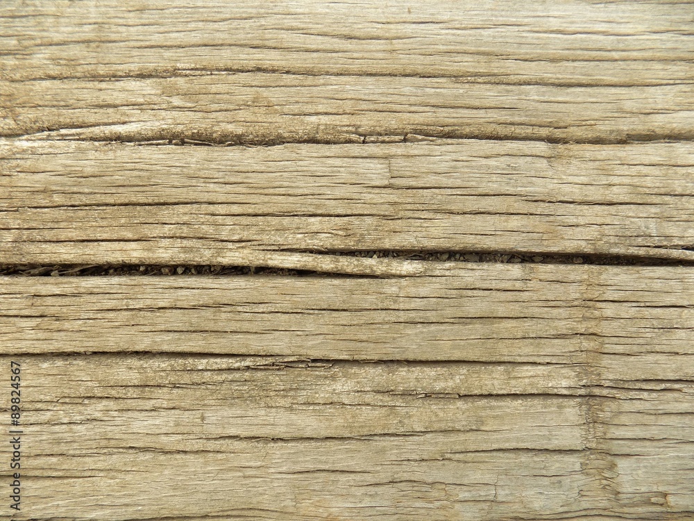 Fototapeta premium Wood texture