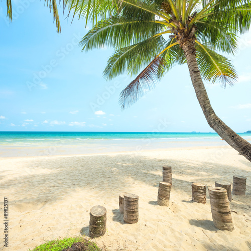 Coconut tree palm and tropical beach at Koh chang island in thailand