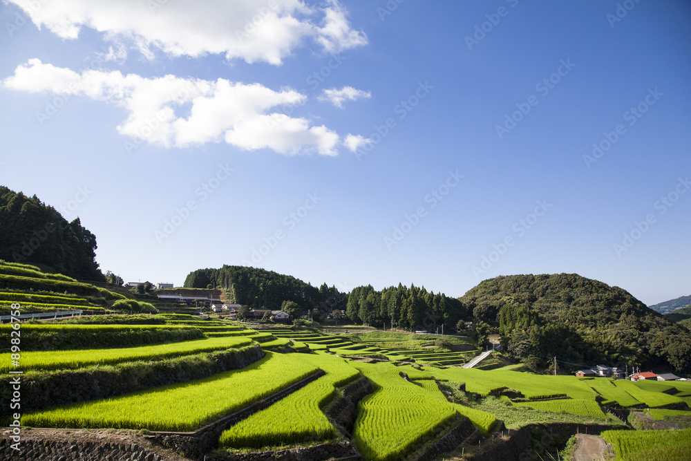 Fototapeta premium 鬼木棚田
