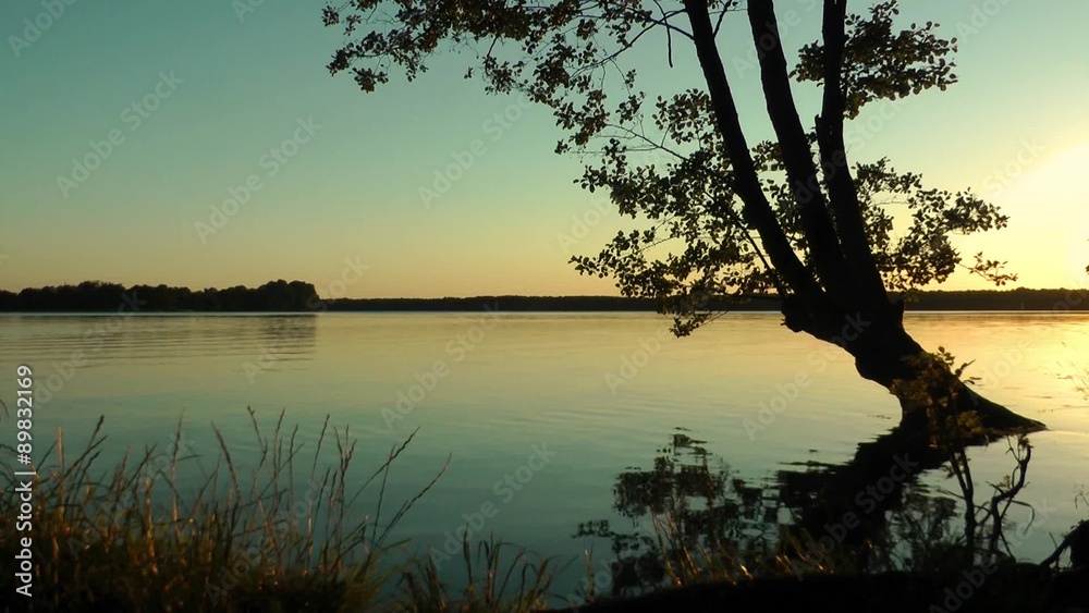 Sonnenuntergang am See, Baum spiegelt sich die der ruhigen Oberfläche