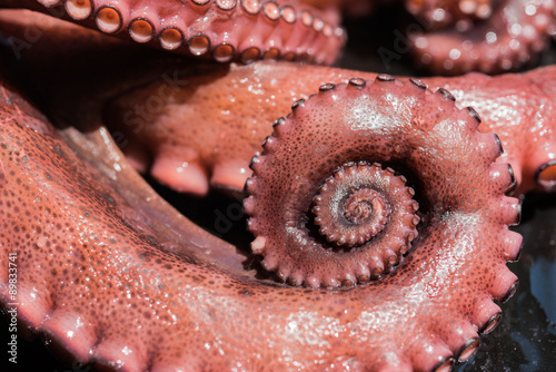 Boiled octopus with swirled tentacle
