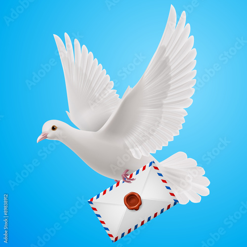 Dove white