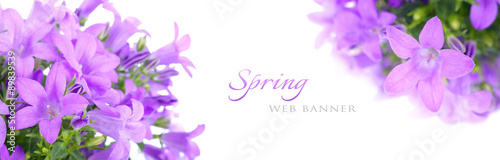 Panel kuchenny z motywem Bluebells flowers