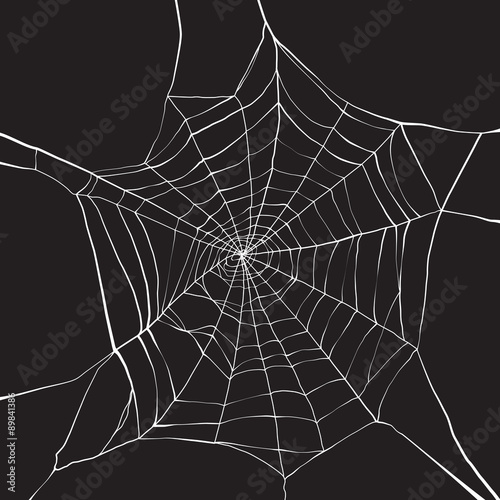 spider web