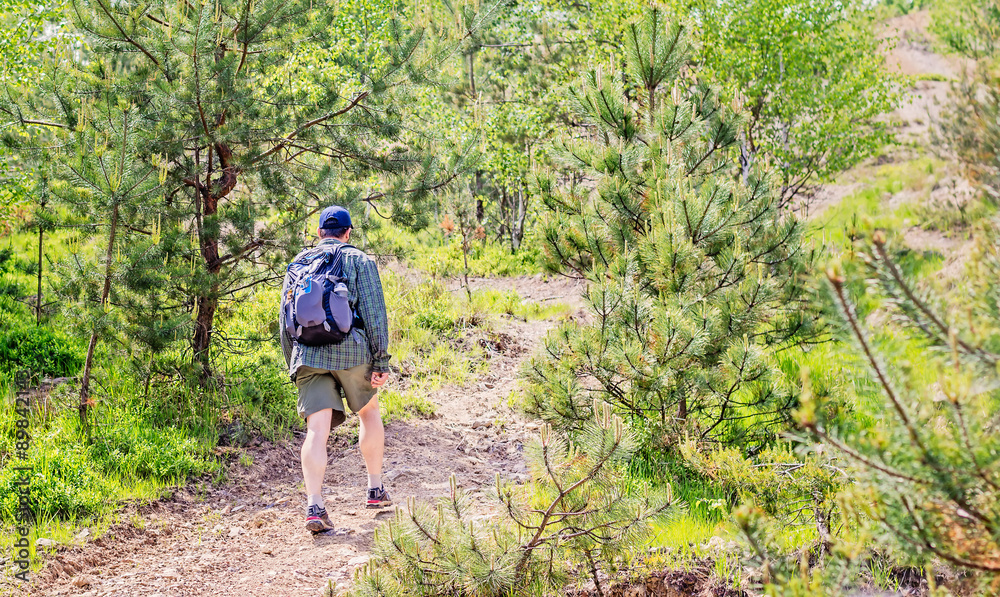 Naklejka premium Young man with backpack and short pants hiking through a pine forest.