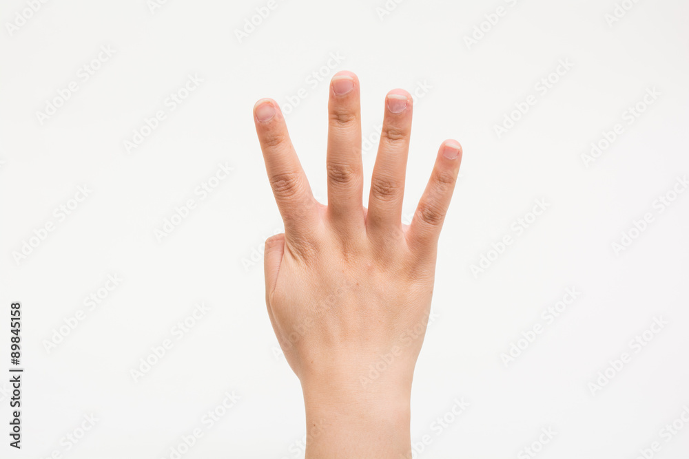 The hands of children No4 子供の手でNo4 The hands of children No4 子供の手でNo4
