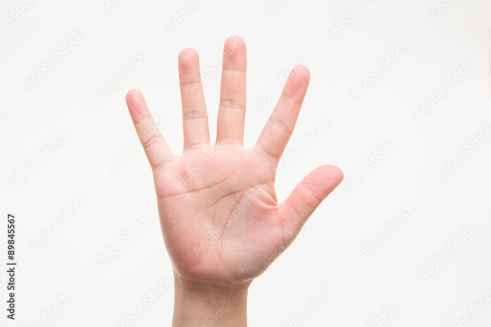 The hands of children No5 子供の手でNo5