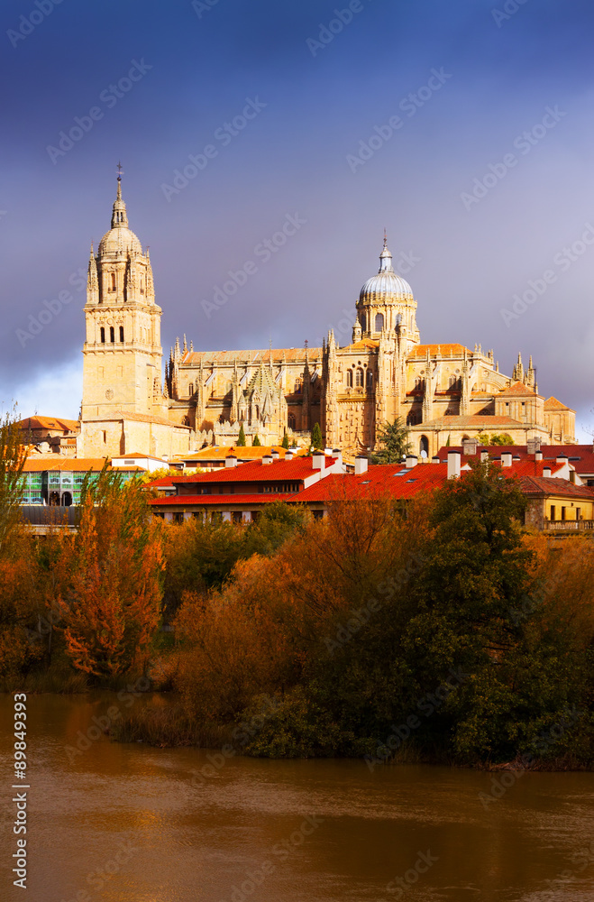  Salamanca Cathedral from Tormes River