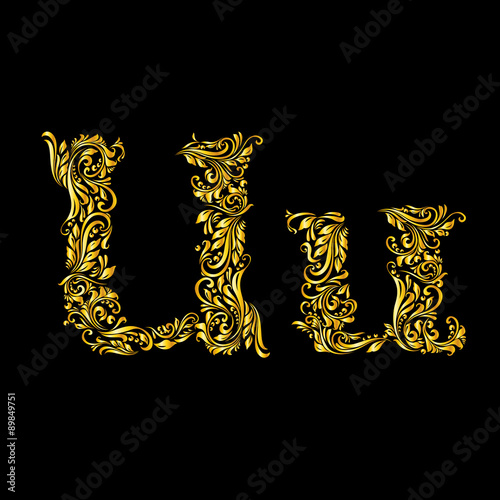 Decorated letter 'u'