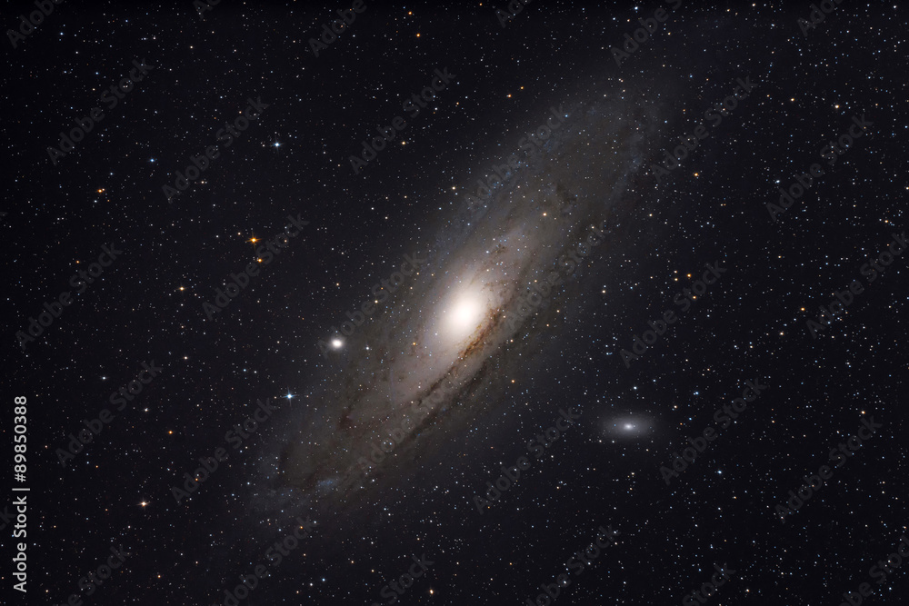 Fototapeta premium Andromeda Galaxy M31