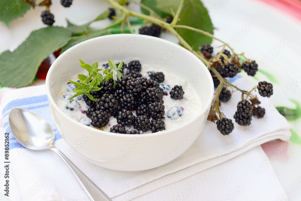 Schüssel mit Joghurt und frisch gepflückten Brombeeren Schüssel mit Joghurt und frisch gepflückten Brombeeren
