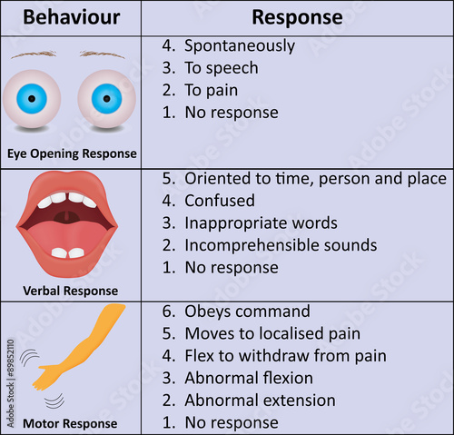 Photography Glasgow Coma Scale Illustration