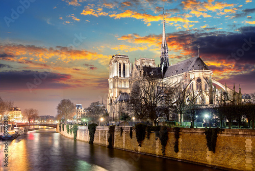 Island Cite with cathedral Notre Dame de Paris