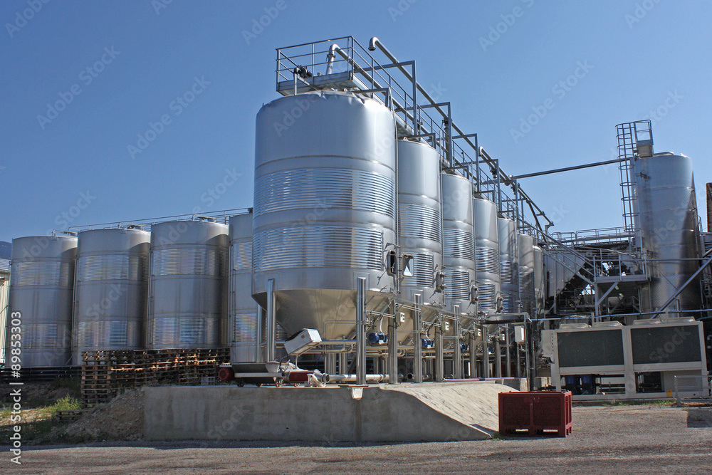 Obraz premium Vinification