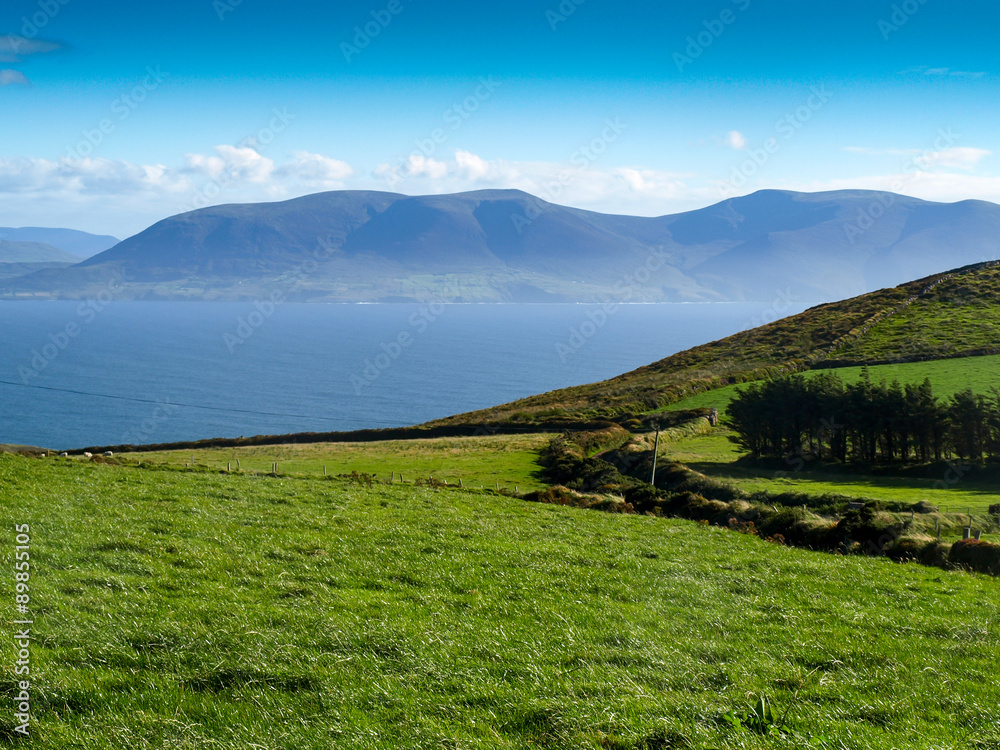 View from the Dingle Peninsula to the Iveragh peninsula with green grass, a blue ridge and a clear blue sky.