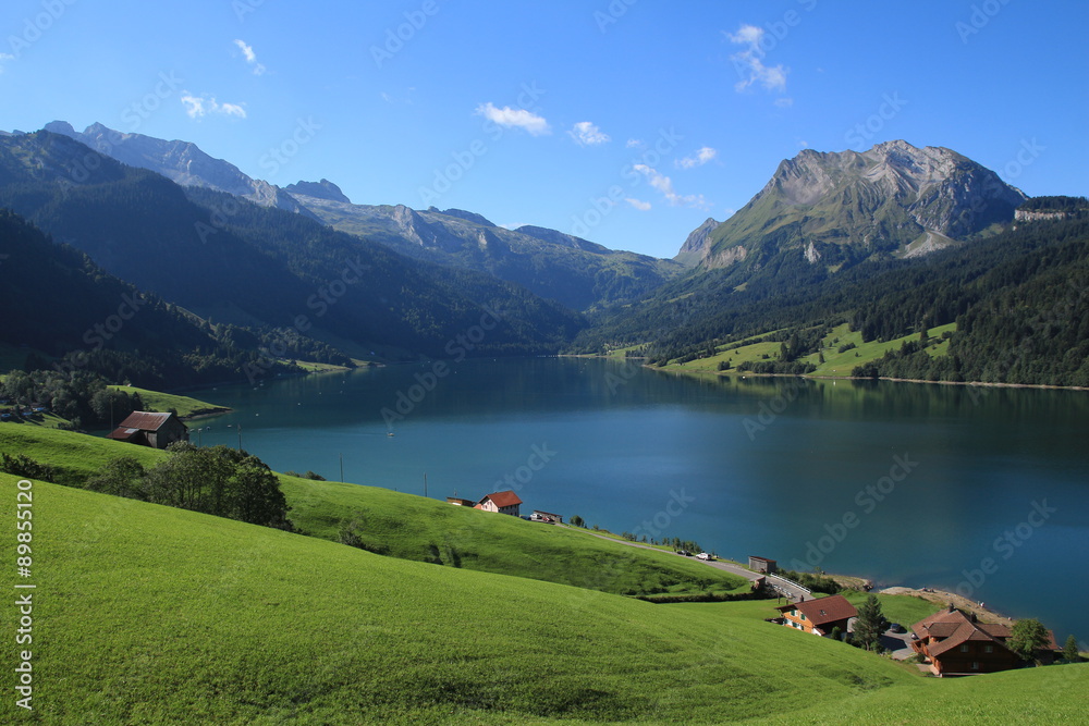 Green farmland, lake Waegitalersee and Fluebrig