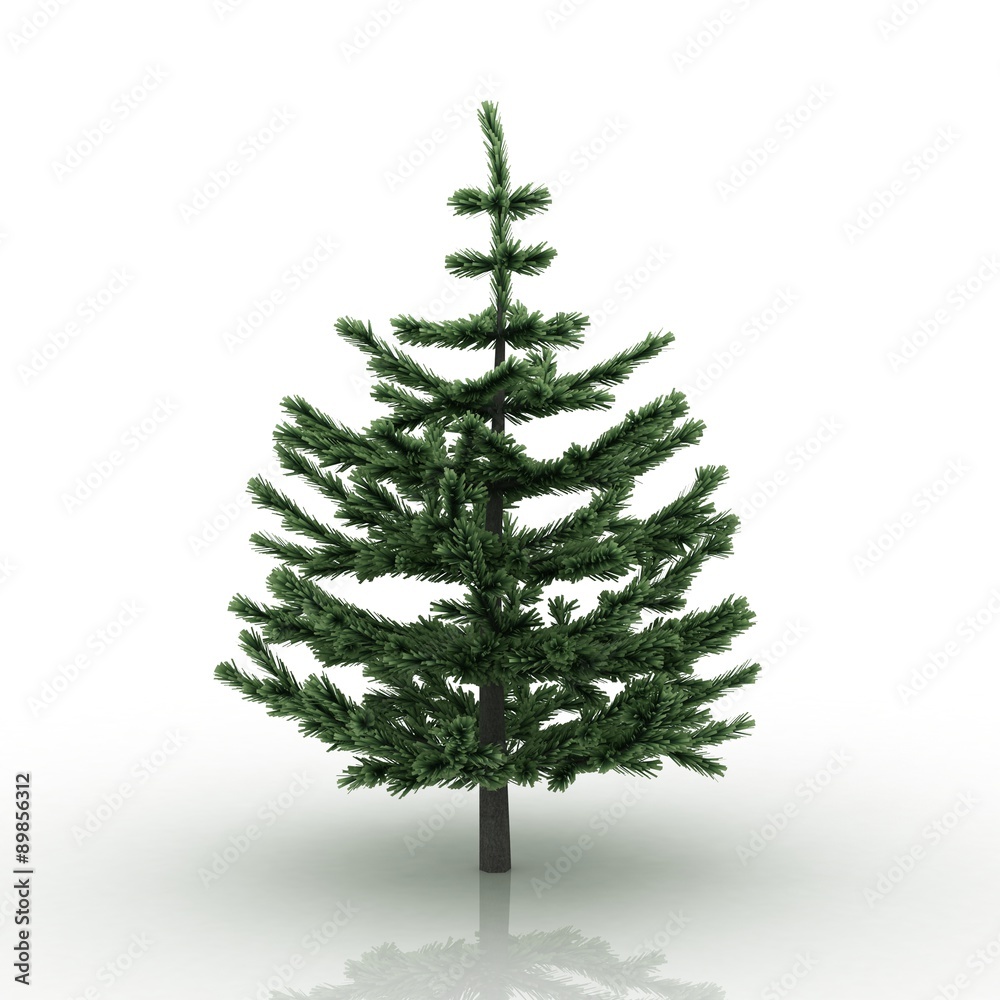 Fototapeta premium 3D tree fir isolated on white background