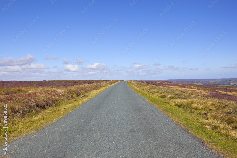 moorland road in summer